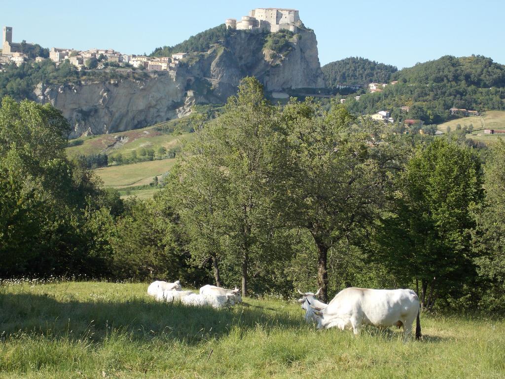 Osteria Belvedere Hotel San Leo Kültér fotó